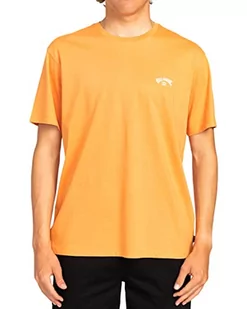 Quiksilver Arch Crew SS Koszula męska (Paczka 1) - Koszule męskie - miniaturka - grafika 1