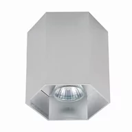 Lampy pozostałe - POLYGON CL 1L SPOT ALU/ALU 20067-AL - miniaturka - grafika 1