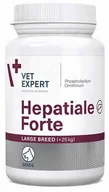 Suplementy i witaminy dla psów - Hepatiale Forte Large Breed (duże psy) 40 tabl. - miniaturka - grafika 1