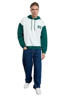 TRENDYOL MAN BLUZA MĘSKA Z KAPTUREM BIAŁO-ZIELONA Z NADRUKIEM NYC L 5DA - Bluzy męskie TRENDYOL MAN BLUZA MĘSKA Z KAPTUREM BIAŁO-ZIELONA Z NADRUKIEM NYC L 5DA - Bluzy męskie - miniaturka - grafika 1