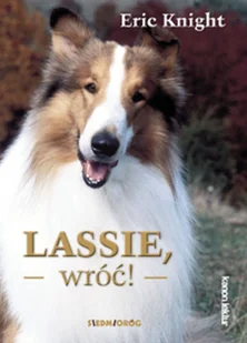 Lassie, wróć! - Książki edukacyjne - miniaturka - grafika 2