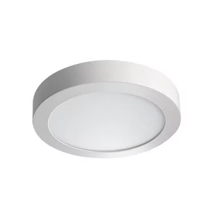 Oprawa oświetleniowa LED Carsa V2LED 18W-NW-W - Oprawy, klosze i abażury - miniaturka - grafika 1
