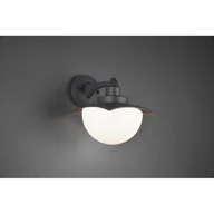 Lampy ogrodowe - Trio DONEZ Antracyt E27 IP44 Kinkiet zewnętrzny 204960142 204960142 - miniaturka - grafika 1