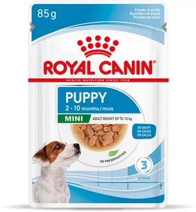 Royal Canin Mini Puppy - 48 x 85 g - Mokra karma dla psów - miniaturka - grafika 1
