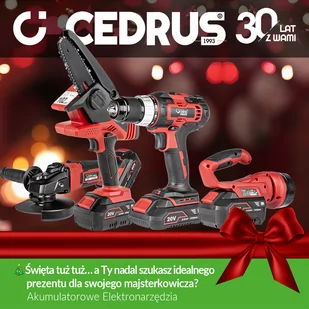CEDRUS SP1000Li AGREGAT PISTOLET MALARSKI AKUMULATOROWY KOMPRESOR DO MALOWANIA NATRYSKOWEGO CEDSP1000LI 20V POWER+ OFICJALNY DYSTRYBUTOR - AUTORYZOWANY DEALER CEDRUS - Pistolety malarskie - miniaturka - grafika 17