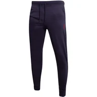 Spodnie męskie - Guess Spodnie Męskie Dresowe Adam Pant Granatowe M2Bb37K7On4 G9C9 Xl - miniaturka - grafika 1