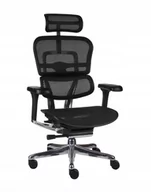 Fotele i krzesła biurowe - Ergonomiczny fotel biurowy Ergohuman 2 Elite BS Black, GROSPOL, siatkowy, Czarny - miniaturka - grafika 1