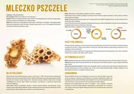 Akcesoria BHP - Średnia tablica edukacyjna MLECZKO PSZCZELE - wzór F253 - miniaturka - grafika 1