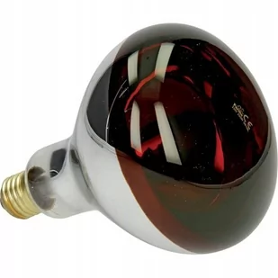 Promiennik HardGlass 250W czerwony 802004FA - Akcesoria do hodowli zwierząt - miniaturka - grafika 1