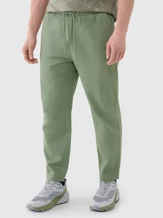4F Spodnie męskie casual 4FWSS25TTROM0999-44S Zielony Roz. XXL - Spodnie męskie - miniaturka - grafika 1