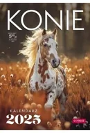 Kalendarze - Kalendarz 2025 A4 Ścienny Konie - miniaturka - grafika 1