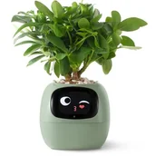Donice - Doniczka inteligentna PLANTSIO IVY Wi-fi Zielony - miniaturka - grafika 1