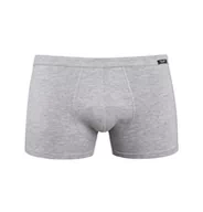 Majtki męskie - Bokserki męskie bawełniane Levi szare, Teyli - miniaturka - grafika 1