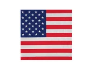 Dekoracje i nakrycia stołu na imprezę - Serwetki papierowe Flaga USA - 33 cm - 20 szt. - miniaturka - grafika 1