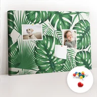 Tablice i flipcharty - Szkolna Tablica korkowa 60x40 cm, Kolorowe Pinezki, wzór Liście monstery - miniaturka - grafika 1