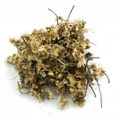 Przyprawy i zioła sypkie - KASZTANOWIEC KWIAT KASZTANOWCA 50 G 100% NATURALNY - miniaturka - grafika 1