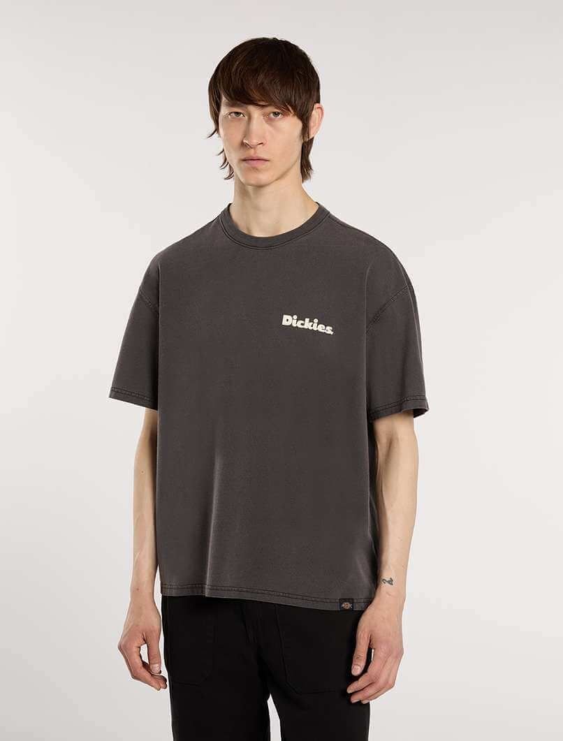 t-shirt mężczyzna dickies slayden gd tee - dk0a87qr k661 black
