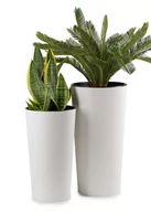 Donice - Zestaw donic ECO białe 2 szt Donica Wysoka SLIM Elegancka do Salonu Osłonka - miniaturka - grafika 1