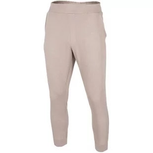 Spodnie Męskie 4F Beżowe H4Z22 Spmd015 83S-2Xl - Spodnie męskie - miniaturka - grafika 1