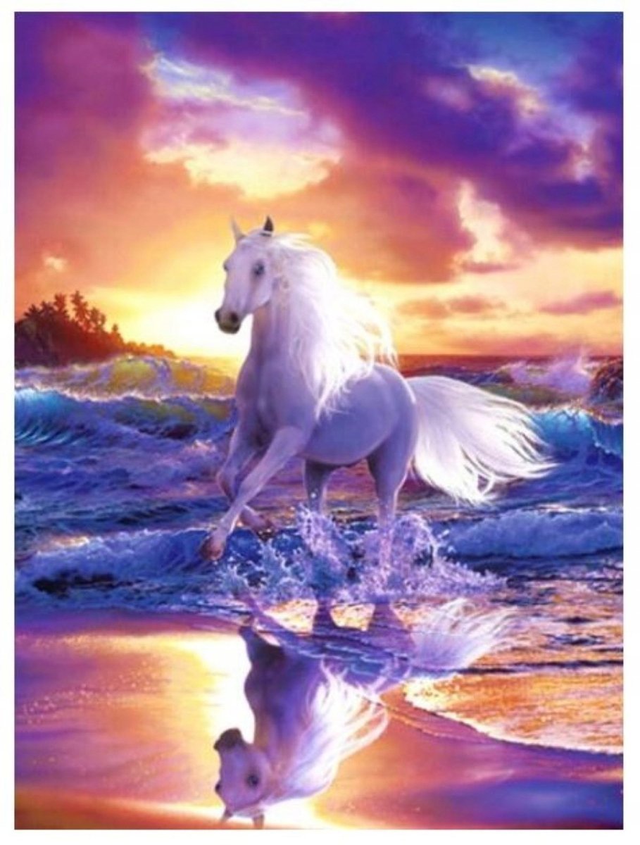 DIAMOND PAINTING HAFT DIAMENTOWY MOZAIKA 5D KOŃ