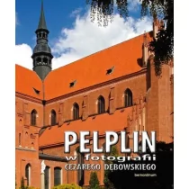 Bernardinum Cezary Dębowski Pelplin w fotografii Cezarego Dębowskiego - Albumy o  sztuce - miniaturka - grafika 1