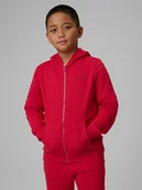 Bluzy dla chłopców - 4F Bluza dresowa regular z kapturem chłopięca - czerwona 164 (13-14 lat) - miniaturka - grafika 1