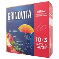 Przeziębienie i grypa - Grinovita x13 saszetek - miniaturka - grafika 1