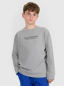 Koszulki dla chłopców - 4F Longlseeve regular z nadrukiem chłopięcy - szary 122 (6-7 lat) - miniaturka - grafika 1