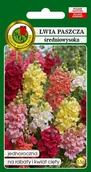 Nasiona i cebule - Lwia Paszcza średnio wysoka Mieszana 0.5 g PNOS - miniaturka - grafika 1