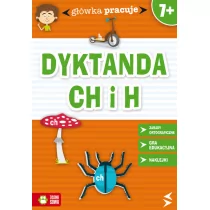 Zielona Sowa Główka pracuje Dyktanda CH i H - Iwona Orowiecka - Książki edukacyjne - miniaturka - grafika 2