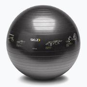 Piłki do ćwiczeń - SKLZ Piłka fitness TRAINERball Sport Performance czarna 0509 - miniaturka - grafika 1