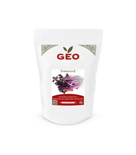 Czerwona rzodkiewka - nasiona na kiełki GEO, certyfikowane, DUŻE OPAKOWANIE, 500g, Bavicchi (VRV1309) - Zdrowa żywność - miniaturka - grafika 1