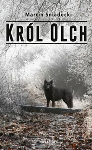 Król Olch - E-booki - literatura polska - miniaturka - grafika 1