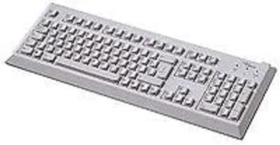FUJITSU Klawiatura Standard S26381-K397-V175 - Klawiatury do laptopów - miniaturka - grafika 1