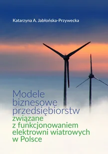 FNCE Modele biznesowe przedsiębiorstw związane z funkcjonowaniem elektrowni wiatrowych w Polsce JABŁOŃSKA-PRZYWECKA KATARZYNA A. - Biznes - miniaturka - grafika 2