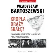 Pamiętniki, dzienniki, listy - Kropla drąży skałę? - miniaturka - grafika 1