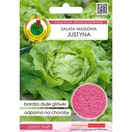 Nasiona i cebule - Sałata masłowa głowiasta Justyna nasiona inkrustowane Pnos - miniaturka - grafika 1