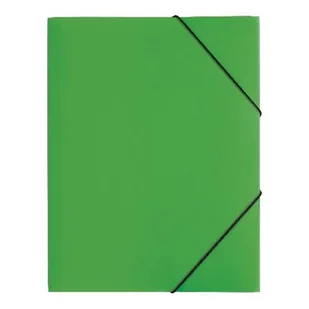 Pagna Teczka z gumką A4 zielona PP P2161305 - Teczki i skoroszyty - miniaturka - grafika 3