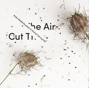 Buba Badjie Kuyateh, Michał Górczyński - Cut The Air - Folk - miniaturka - grafika 1