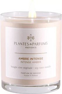 Świece - PLANTES&PARFUMS PROVENCE Świeca zapachowa perfumowana - Intense Amber - Drogocenna Ambra 070216 - grafika 1