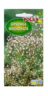 Gipsówka wiechowata - łyszczec 1 g POLAN - Nasiona i cebule - miniaturka - grafika 1