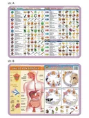 Podkładki na biurko - PASO Podkładka edukacyjna Pasożyty człowieka układ pokarmowy witaminy mikro makroelementy VISU003 - miniaturka - grafika 1