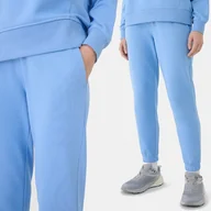 Spodnie damskie - Spodnie Damskie Dresowe 4f Xl Joggery Ttrof1138 Ss25 - miniaturka - grafika 1