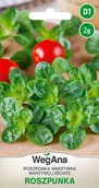 Nasiona i cebule - Roszponka warzywna 2g nasiona - WegAna - miniaturka - grafika 1