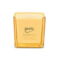 Świece - ipuro - Dekoracyjna świeca zapachowa Ipuro Soft Vanilla – minimalistyczne i purystyczne świece zapachowe w szkle – intensywne świece zapachowe z delikatnej wanilii Madagaskaru – stylowa świeca 125 g - miniaturka - grafika 1