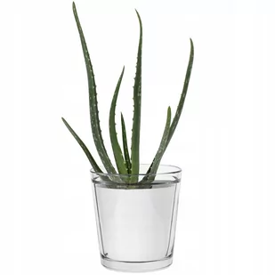 Osłonka na doniczkę Orchid przezroczysta - Donice - miniaturka - grafika 1