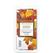 Zapachy do domu - Wosk zapachowy - Harvest Pumpkin - miniaturka - grafika 1