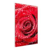 Obrazy i zdjęcia na płótnie - Obraz zdjęcie szkło akryl pionowy Czerwona róża - miniaturka - grafika 1
