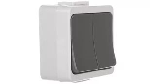 Timex elektro JANTAR-bis Łącznik świecznikowy z podświetleniem n/t IP44 szary WNT-2J-b/S WNT-2J-b/S SZ - Wyłączniki światła i elektryczne - miniaturka - grafika 1