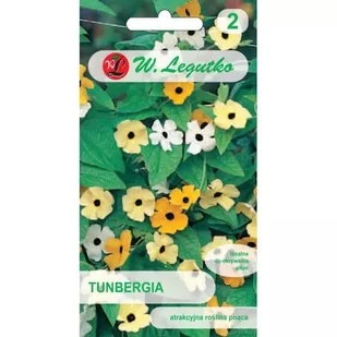 Tunbergia mieszanka 0.50g - Nasiona i cebule - miniaturka - grafika 1